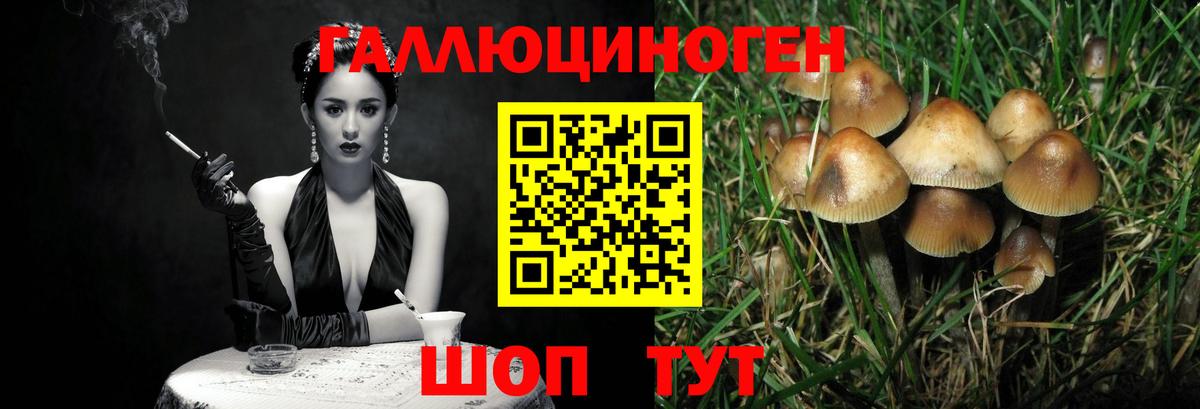 Новочебоксарск  Псилоцибиновые грибы мухоморы  Галлюциногенные грибы мухоморы  Вход с VPN 